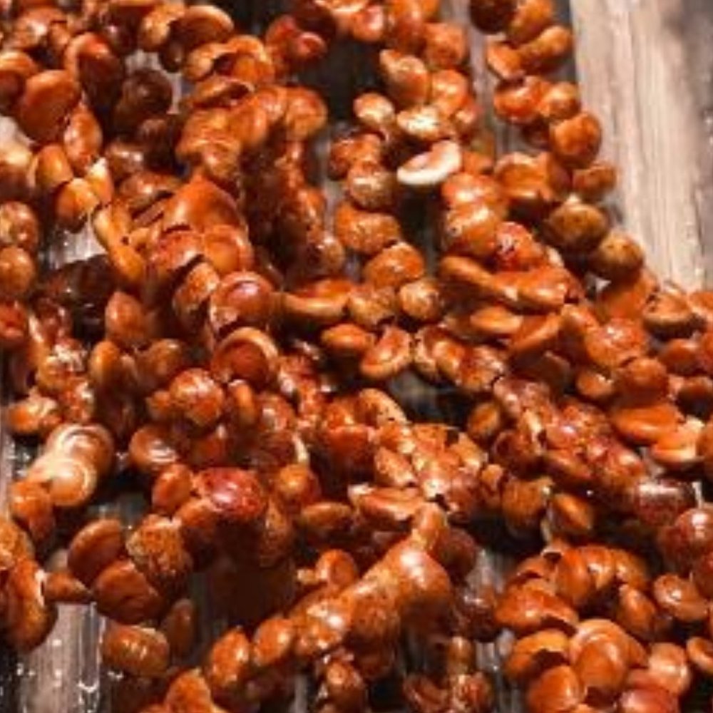 Coldwater Creek Multi Strand Tiny Shells Necklace - Picture 5 of 6